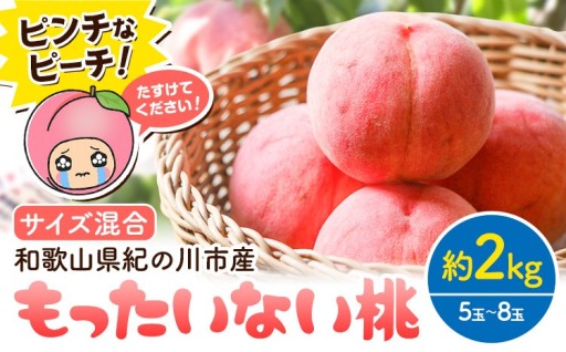【生産者応援】農家さんが大切に育てた「もったいない桃」