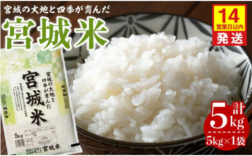 【14営業日以内に発送予定】宮城米 5kg×1袋 ブレンド米