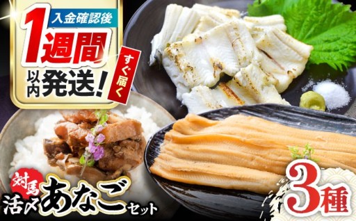  対馬産活〆あなご3種セット