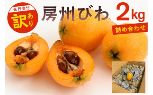 〈訳あり〉房州びわ(露地栽培) 2kg詰め合わせ