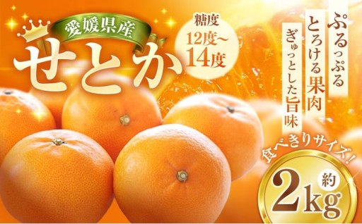 せとか 約2kg 【2027年2月下旬-4月下旬発送予定】