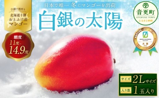 ［先行受付］おとふけ産マンゴー「白銀の太陽」2Lサイズ×1玉