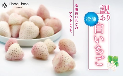 訳あり 冷凍 白いちご 1袋 500g