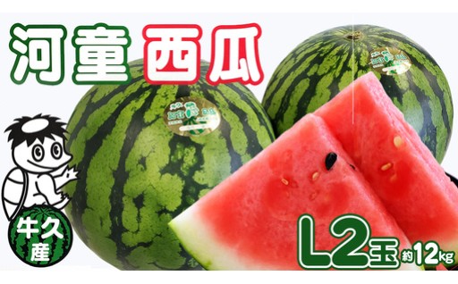 ＼ もうすぐ申込終了 ／牛久市産 河童西瓜🍉