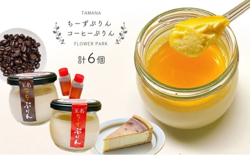 玉名ちーずぷりん ・ 玉名コーヒーぷりん 合計6個