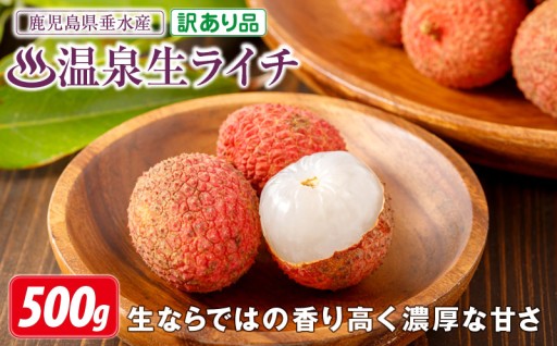 【期間限定】希少な国産生ライチ受付中【訳あり品】