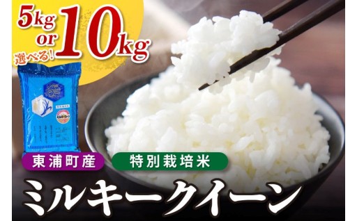 【選べる容量】🍚東浦町産 ミルキークイーン🍚5kg（5kg×1袋） / 10kg（5kg×2袋）