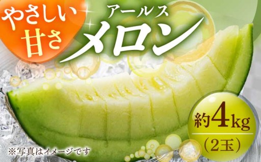 【先行予約】島のメロン🍈