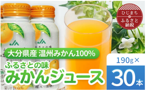 🍊✨ふるさとの味✨🍊みかんジュース果汁100%(30本)🍊✨