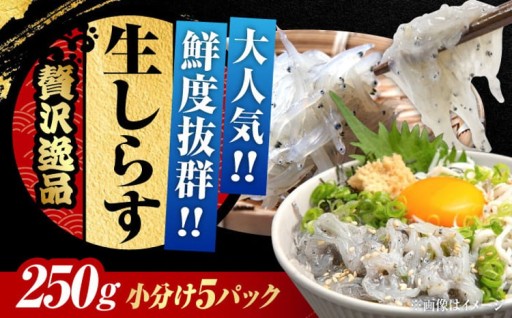 流水で解凍！江田島産冷凍生しらす🐟