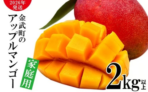 【2026年発送】農家さん直送！アップルマンゴー2kg以上