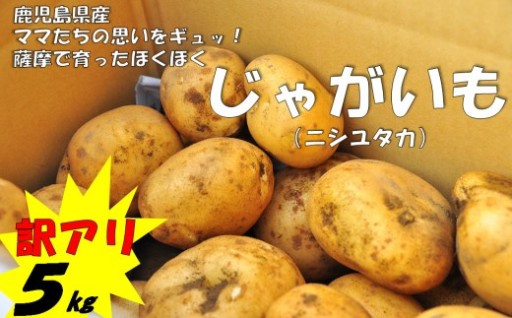  【訳アリでお得！】ママたちの思いをギュッ！薩摩で育ったほくほくじゃがいも5㎏（ニシユタカ） 