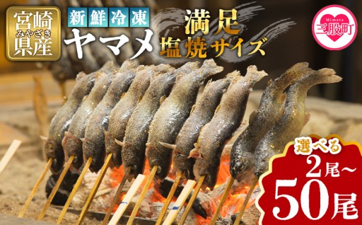 新鮮冷凍ヤマメ 2尾/10尾/30尾/50尾