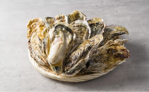 松島牡蠣屋 殻付き牡蠣（生食用）1kg