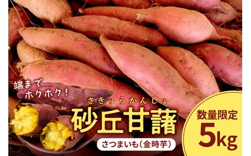 端までサツマイモのホクホク感が楽しめる砂丘甘藷🍠