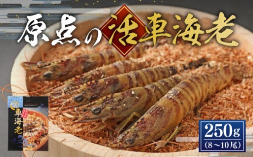 【配送日指定品】原点の車海老 250g （8～10尾） 