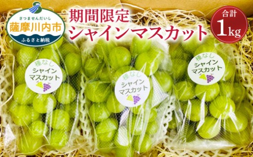 【数量限定】【先行予約】シャインマスカット 計1kg