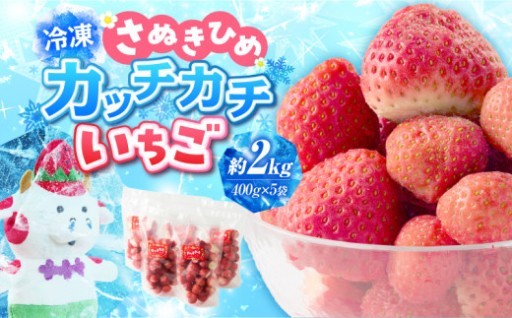 【香川県三木町】【冷凍いちご】森のいちごのカッチカチいちご【さぬきひめ】　2kg
