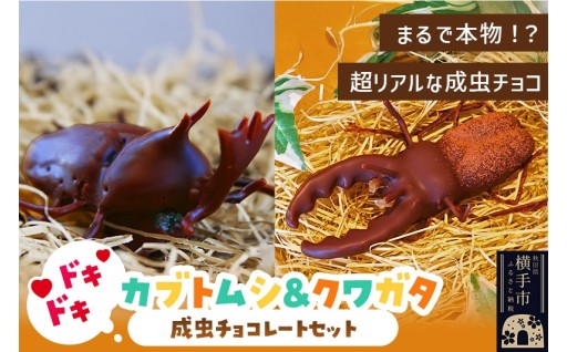 童心くすぐるロマン＆チョコ♡
