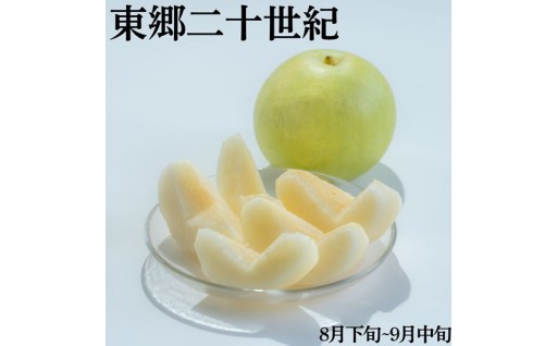爽やかさが際立つ二十世紀梨
