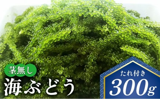 茎無し海ぶどう　300g（たれ付き） 