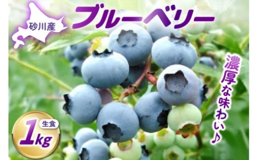 〈先行予約〉 生食ブルーベリー