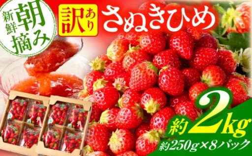 【香川県三木町】【先行予約】訳あり 苺音クラフト〜加工用さぬきひめいちご約2kg