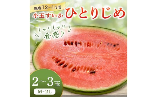 🍉小玉すいか(ひとりじめ)2～3玉 和歌山産🧂