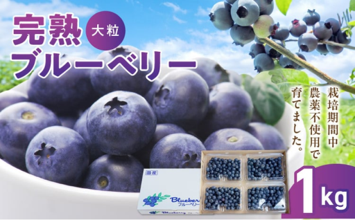 完熟ブルーベリー250ｇ×4