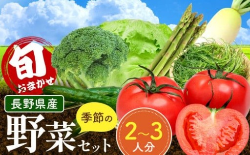 おまかせ野菜セット 2～3人分 約 5kg