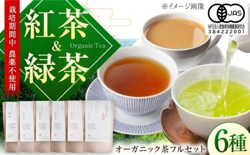 毎日のホッとする時間に！内子町産の風味豊かなお茶