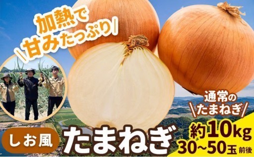 【受付終了間近】人気返礼品しお風たまねぎ🧅