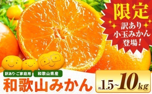 ご家庭用にぴったり🍊選べる和歌山みかん！