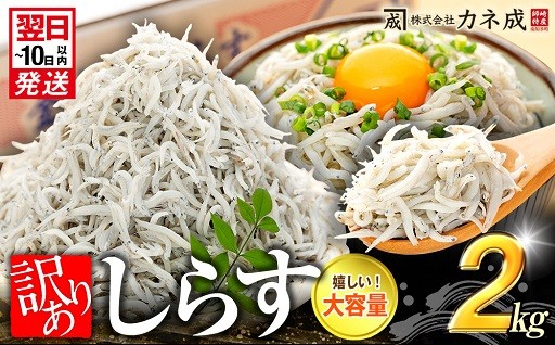 箱の中に4分割の仕切りが入って小分けがしやすい！