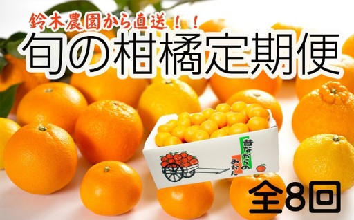 ［定期便 全8回］和歌山県鈴木農園産 旬のフルーツ定期便