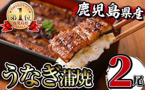 鹿児島県産うなぎ蒲焼2尾セット(約140g×2・計約280g)