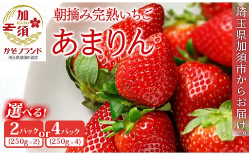 🍓 大人気！水野農園の「あまりん」先行受付スタート！ 🍓