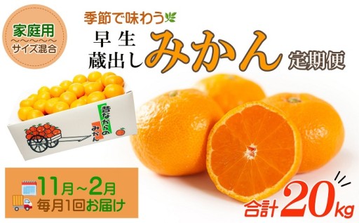 ［みかん定期便］みかん 5kg 4回定期便 家庭用