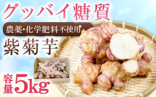 健康＆エイジングケア！農薬化学肥料不使用の紫菊芋