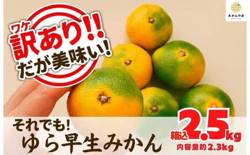 訳あり ゆら早生 みかん 箱込2.5kg (内容量 2.3kg)サイズミックス