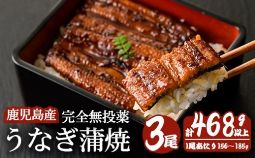 うなぎ 鹿児島産 蒲焼(無頭) (計468g以上・156g～185g×3尾) 