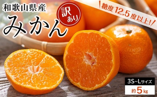 和歌山県産 糖度 12.5度以上 訳あり みかん 5kg 3S ～ Lサイズ混合