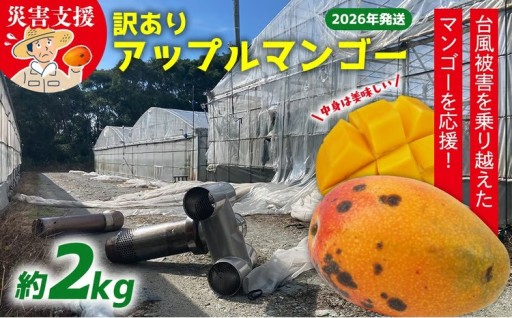 【災害支援】訳あり アップルマンゴー約2kg（3～5玉）【2026年発送】 