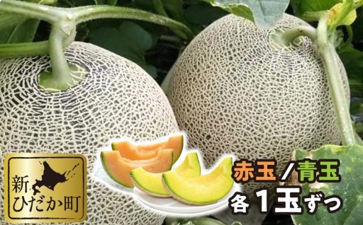 北海道産メロン 赤肉青肉 各1玉食べ比べ セット