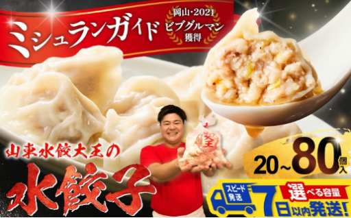 餃子 水餃子 20個 40個 80個 たれ付き🥟
