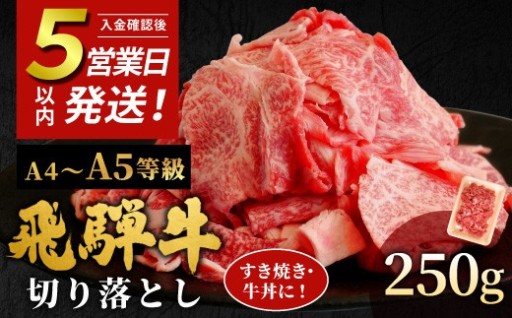 飛騨牛 A4~A5等級 切り落とし 250g