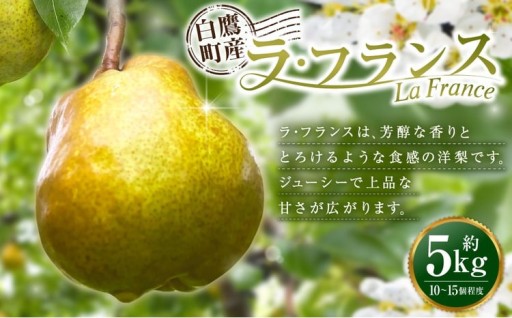 白鷹町産ラ・フランス5kg