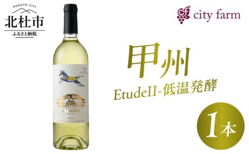 甲州2025【EtudeII-低温発酵】1本