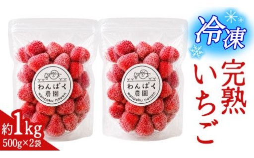 そのまま贅沢ひんやりデザートに！城里町わんぱく農園の冷凍いちご