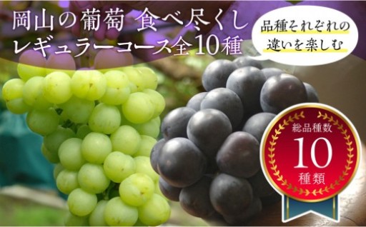 岡山のぶどう食べ尽くし レギュラーコース全10種（10回お届け）
